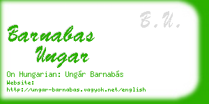 barnabas ungar business card